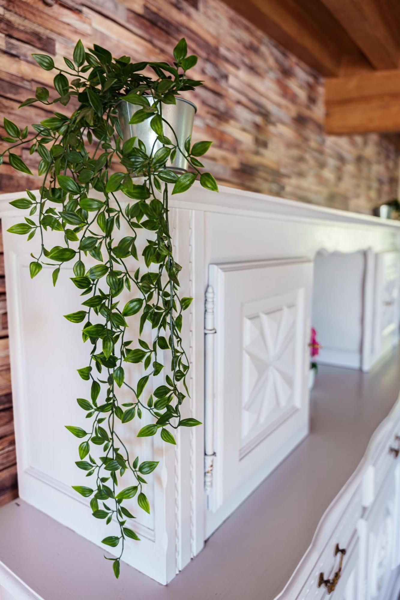 Gite Du Manoir Saint-Germain-des-Champs Ngoại thất bức ảnh